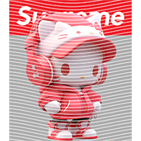 Brand Catalog-ZX 1036